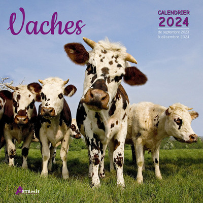 Picture of Calendrier Vaches 2024