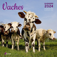 Picture of Calendrier Vaches 2024