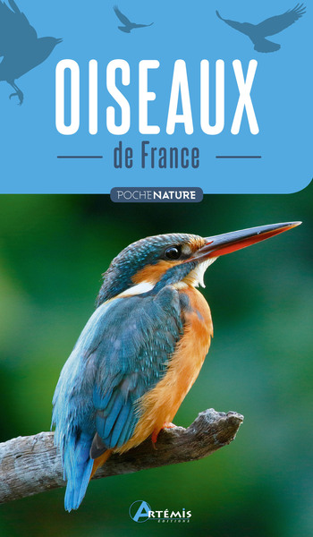 Picture of Oiseaux de France