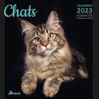 Image de Calendrier chats 2023