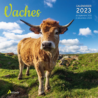 Image de Calendrier vaches 2023