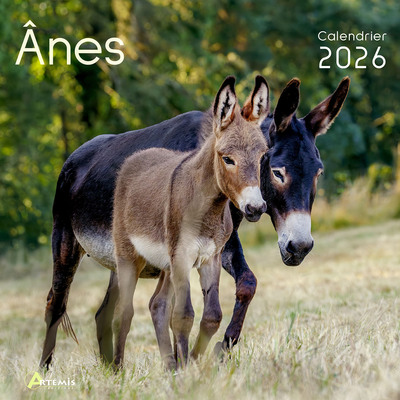 Picture of Calendrier ânes 2026