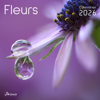 Picture of Calendrier fleurs 2026