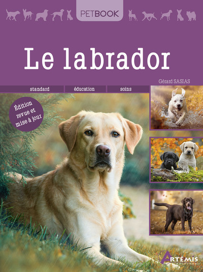 Picture of Labrador