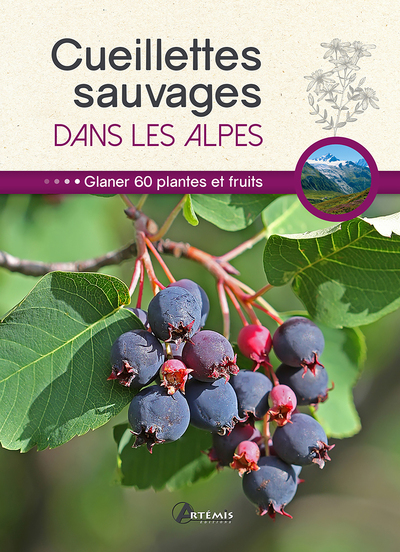Image de Cueillettes sauvages dans les Alpes
