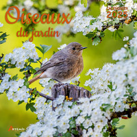 Picture of Calendrier Oiseaux du jardin 2025