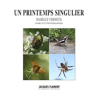 Picture of UN PRINTEMPS SINGULIER
