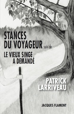 Picture of STANCES DU VOYAGEUR