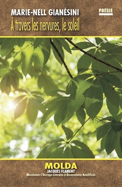 Image de À TRAVERS LES NERVURES, LE SOLEIL