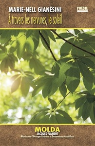 Image de À TRAVERS LES NERVURES, LE SOLEIL