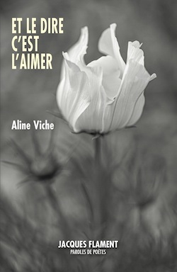 Picture of ET LE DIRE C'EST L'AIMER