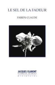 Picture of LE SEL DE LA FADEUR