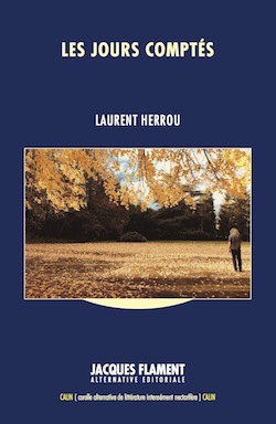 Picture of LES JOURS COMPTÉS