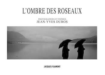 Image de L'OMBRE DES ROSEAUX
