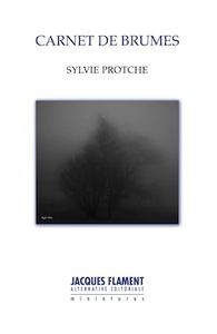 Picture of CARNET DE BRUMES