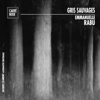Image de GRIS SAUVAGES