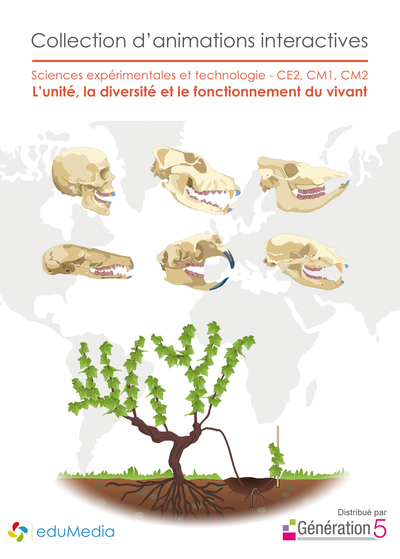 Image de L'unité, la diversité et le fonctionnement du vivant CE2-CM1-CM2 - Animations interactives