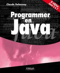 Picture of Programmer en Java
