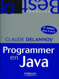 Picture of Programmer en Java