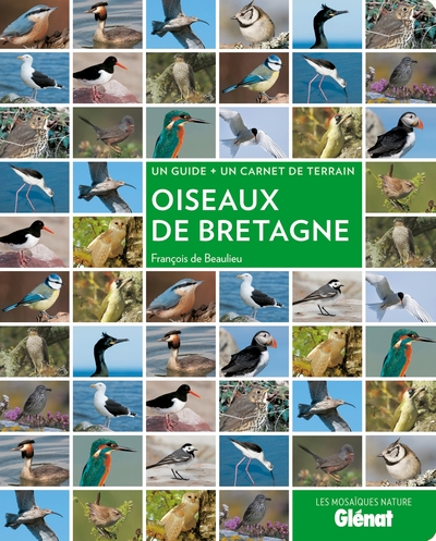 Picture of Oiseaux de Bretagne