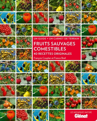 Picture of Fruits sauvages comestibles