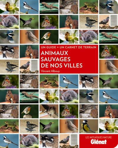 Picture of Animaux sauvages de nos villes