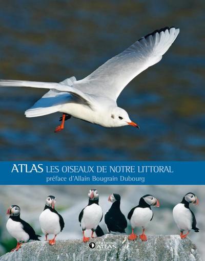 Picture of Les oiseaux de notre littoral