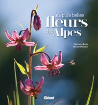 Picture of Les plus belles fleurs des Alpes