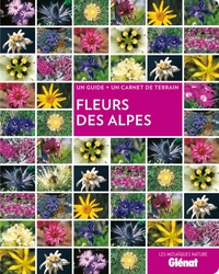Picture of Fleurs des Alpes