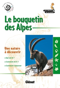 Picture of Le bouquetin des Alpes