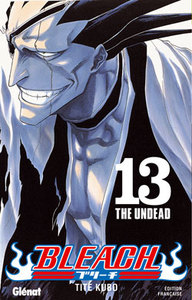 Image de Bleach - Tome 13