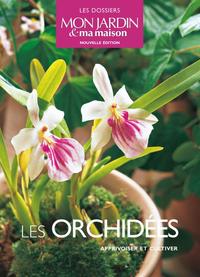 Image de Les orchidées