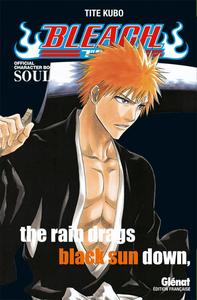 Image de Bleach Data book - Souls