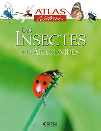 Image de Les insectes et les arachnides