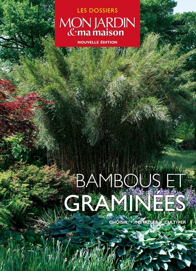 Image de Bambous et graminées