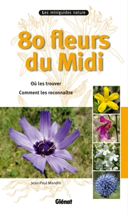 Picture of 80 fleurs du Midi