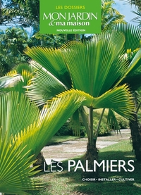 Image de Les palmiers