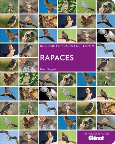 Picture of Rapaces