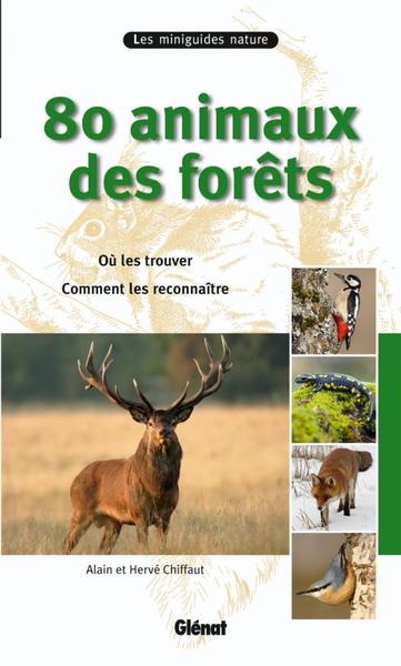 Image de 80 animaux des forêts