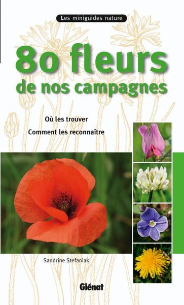 Picture of 80 fleurs de nos campagnes