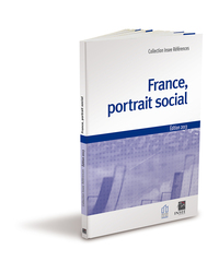 Picture of France, portrait social - Édition 2013