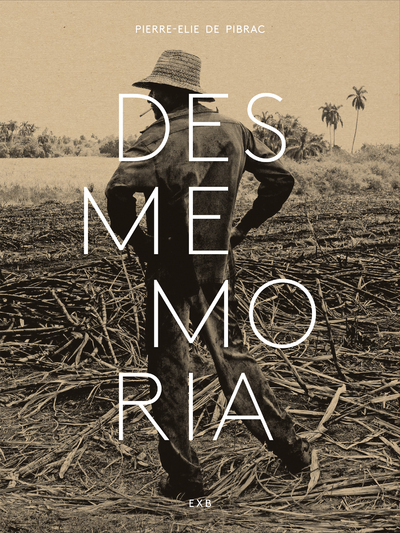 Picture of Desmemoria