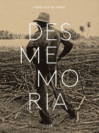 Picture of Desmemoria
