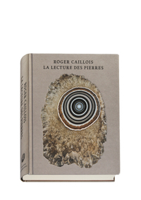 Image de La Lecture des Pierres