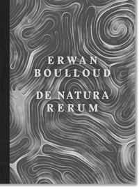 Picture of De Natura Rerum