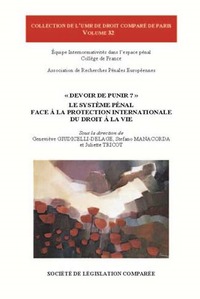 Picture of DEVOIR DE PUNIR ?