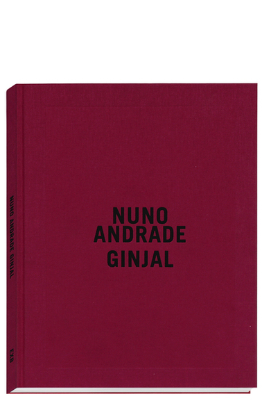 Picture of Ginjal - Prix HSBC pour la photographie