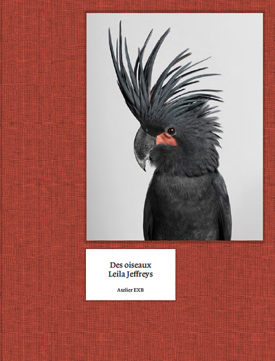 Image de Des Oiseaux - Leila Jeffreys - UK
