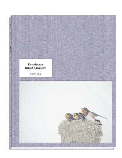 Image de Des oiseaux Rinko Kawauchi - version française
