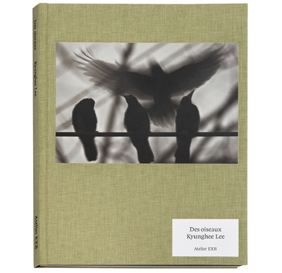 Picture of Des Oiseaux Kyunghee Lee - Version anglaise